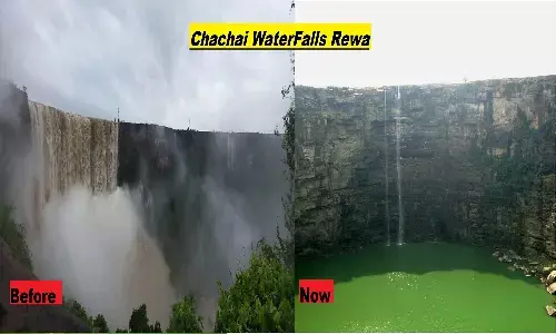 Chachai Waterfall: चचाई वॉटरफॉल में अब वॉटर क्यों नहीं है? रीवा के सिस्टम ने इस खूबसूरत टूरिस्ट प्लेस को वीरान कर दिया Chachai Waterfall: चचाई वॉटरफॉल में अब वॉटर क्यों नहीं है? रीवा के सिस्टम ने इस खूबसूरत टूरिस्ट प्लेस को वीरान कर दिया