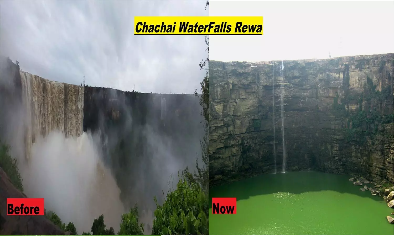 Chachai Waterfall: चचाई वॉटरफॉल में अब वॉटर क्यों नहीं है? रीवा के सिस्टम ने इस खूबसूरत टूरिस्ट प्लेस को वीरान कर दिया