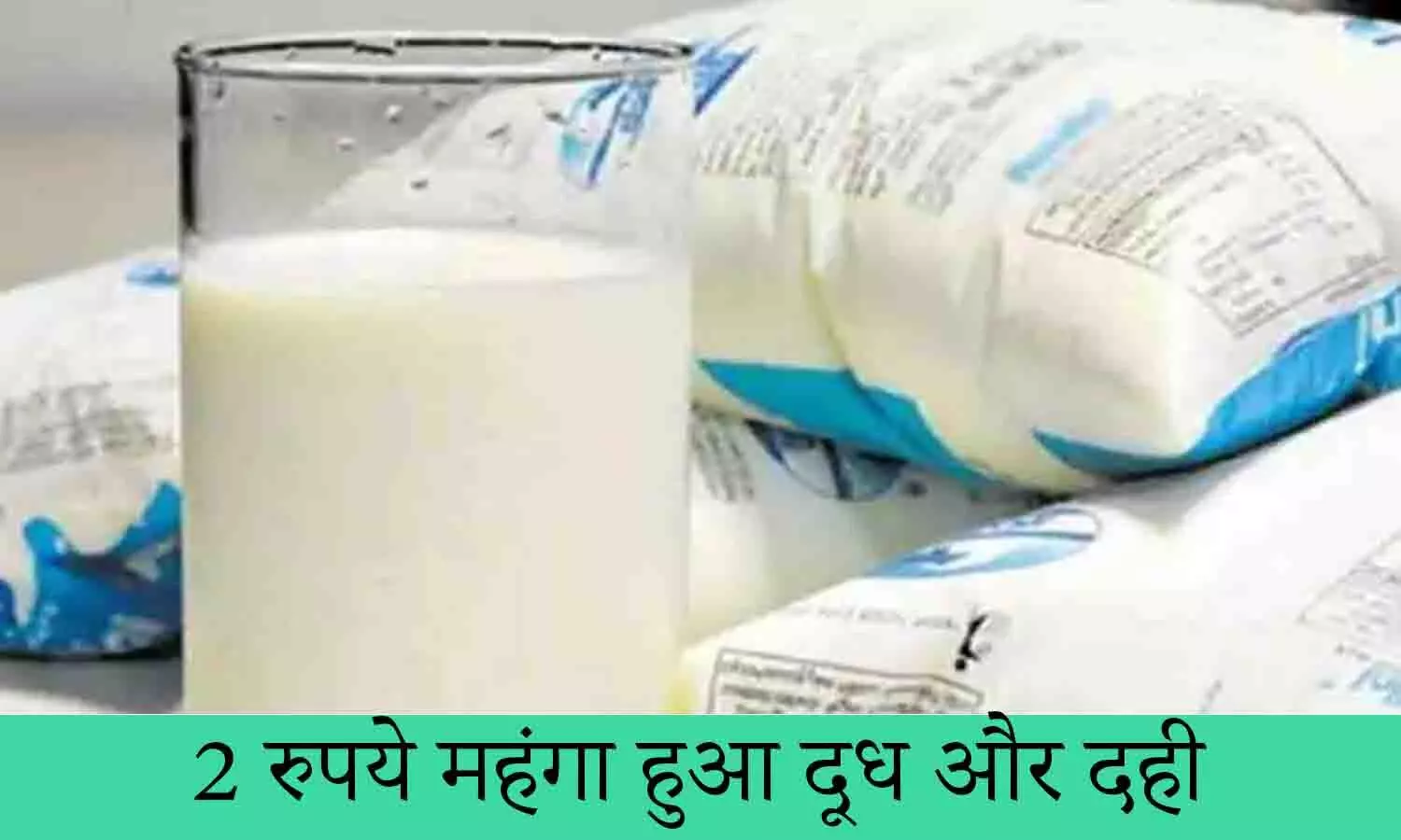 Milk Latest Price