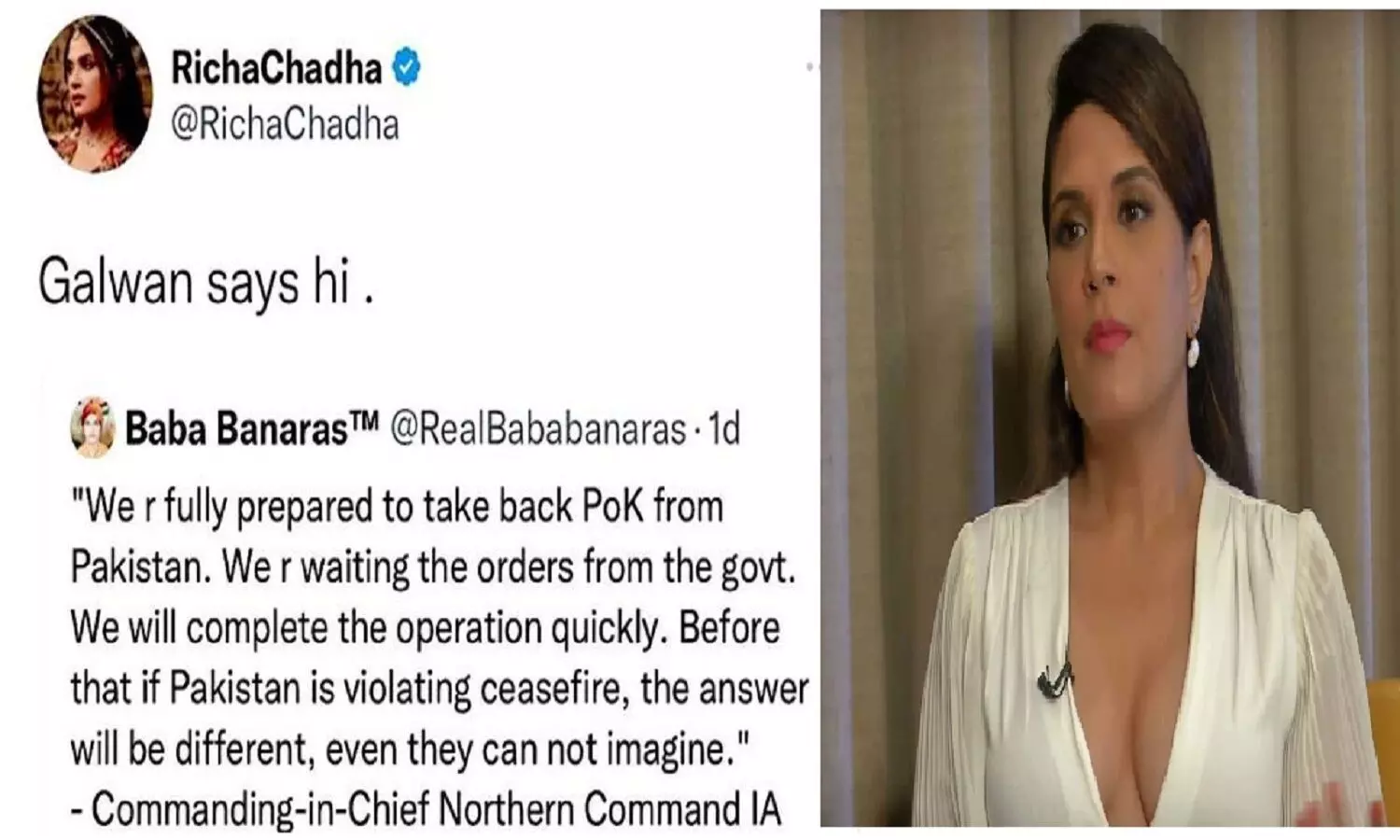 Richa Chadha ने इंडियन आर्मी का मजाक उड़ाया, अक्षय कुमार ने लताड़ डाला