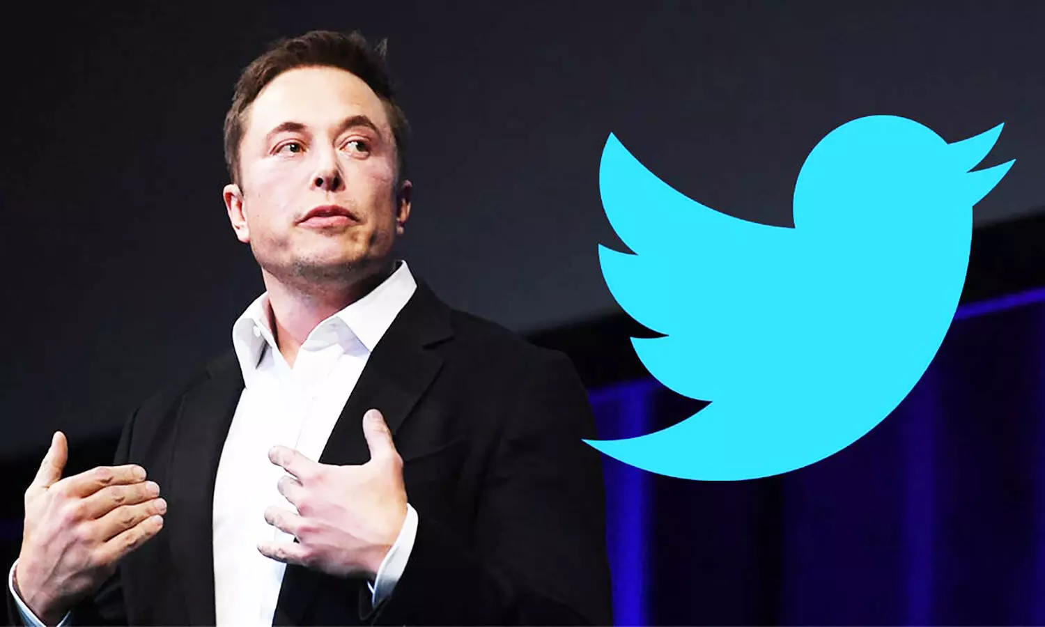 Elon Musk Twitter News: ट्विटर पर वापस लाए जा सकते हैं सस्पेंडेड अकाउंट, जानें क्यों