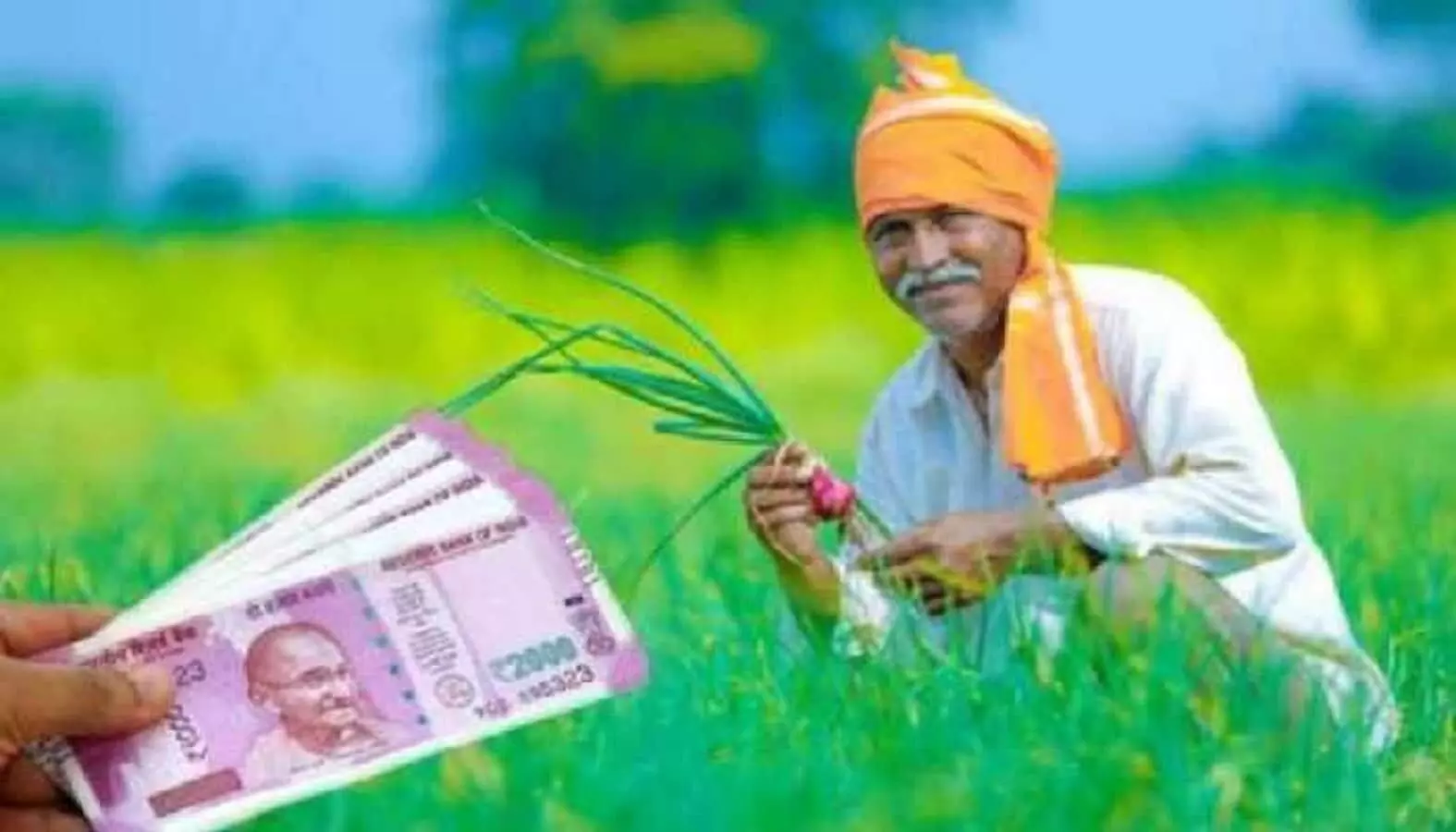 farmers scheme