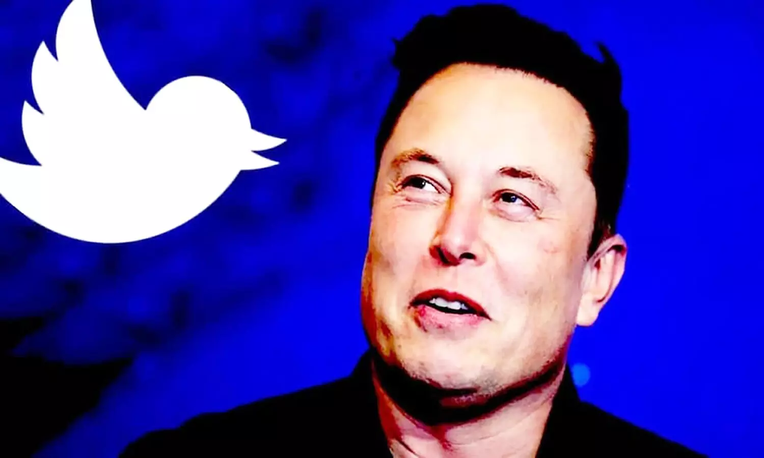 Elon Musk Twitter News: ट्विटर वेरिफाइड फीचर को मस्क 2 दिसंबर को करेंगे लॉन्च