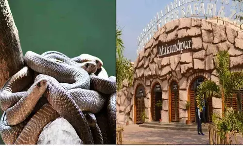 Mukundpur Zoo News