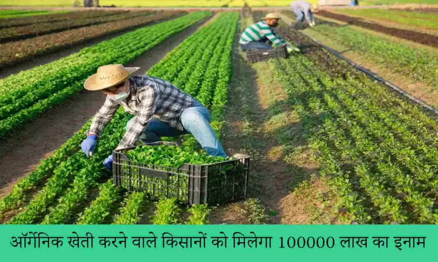 Organic Farming Award 2022