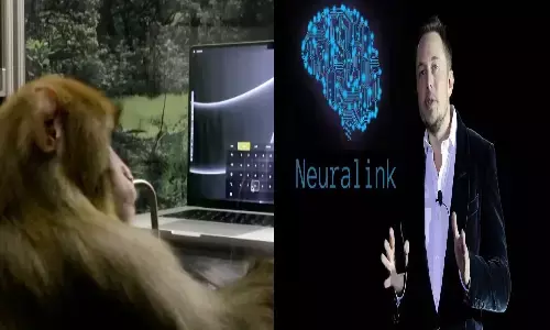 एलन मस्क की Neuralink का कमाल, बंदर से करवा दी कंप्यूटर टाइपिंग