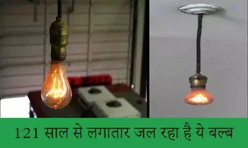 Livermore Centennial Light Bulb