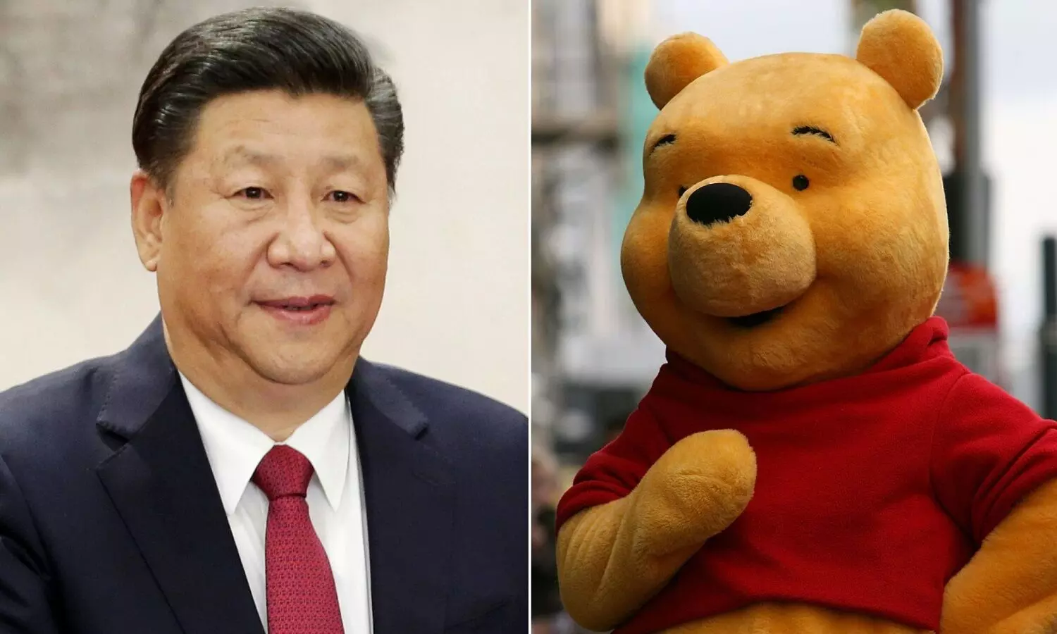 Xi Jinping And Pooh: शी जिनपिंग को पूह कार्टून से क्या दिक्कत है?