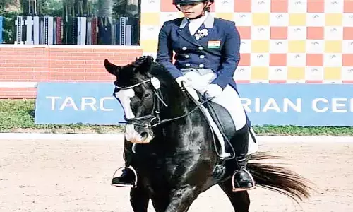 एमपी के भोपाल में लगा घोड़ों का मेला, 90 लाख रुपए का क्रिस्टी भी दिखाएगा हैरतअंगेज कलाबाजी एमपी के भोपाल में लगा घोड़ों का मेला, 90 लाख रुपए का क्रिस्टी भी दिखाएगा हैरतअंगेज कलाबाजी