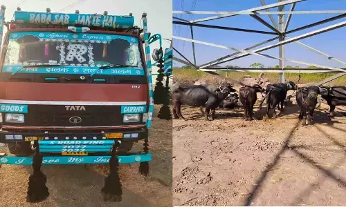 mp news rewa mp news rewa