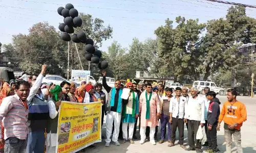 Rewa MP News Rewa MP News