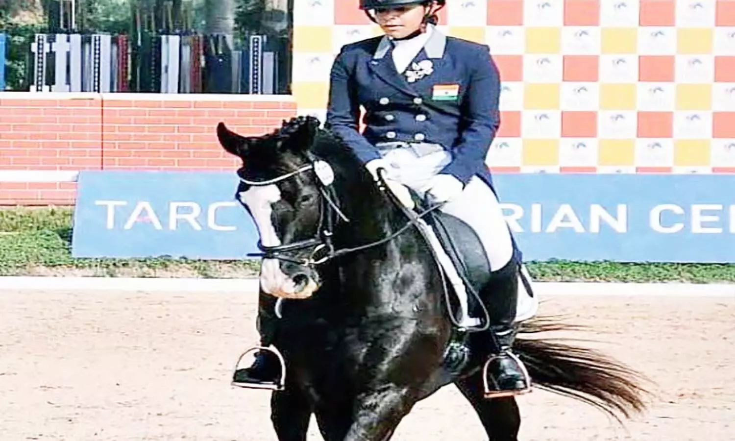 एमपी के भोपाल में लगा घोड़ों का मेला, 90 लाख रुपए का क्रिस्टी भी दिखाएगा हैरतअंगेज कलाबाजी एमपी के भोपाल में लगा घोड़ों का मेला, 90 लाख रुपए का क्रिस्टी भी दिखाएगा हैरतअंगेज कलाबाजी