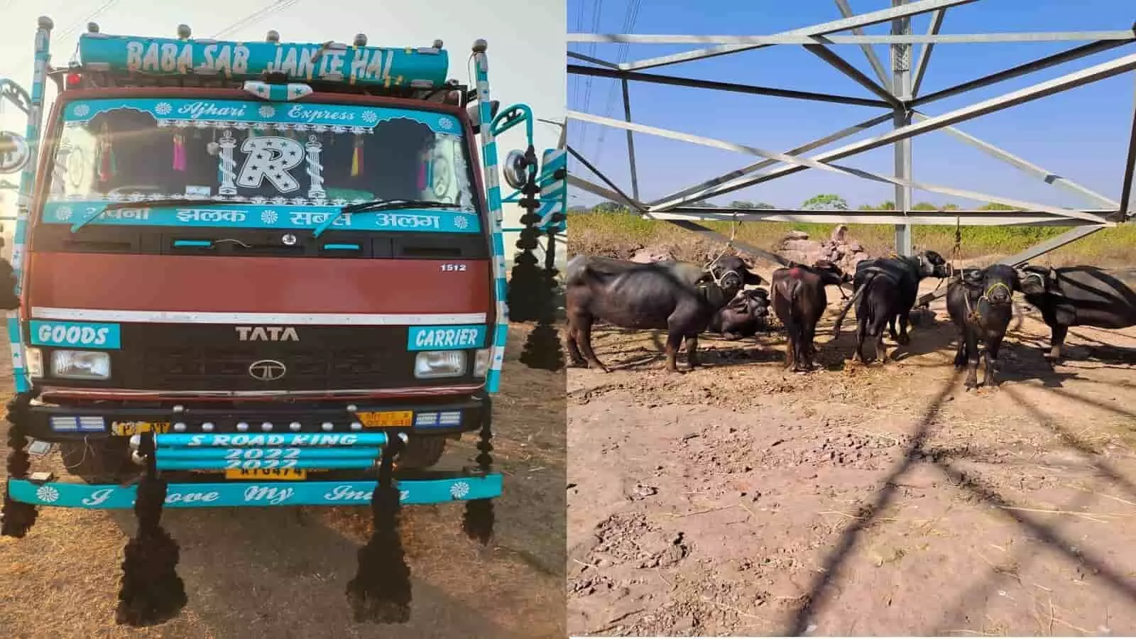 mp news rewa mp news rewa