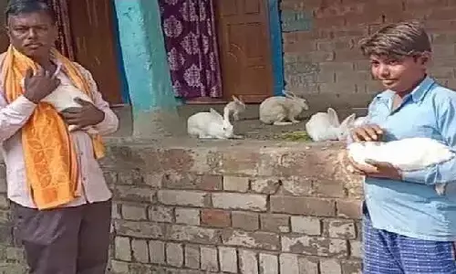 खरगोश पालन व्यवसाय करना कोई इनसे सीखे, 200 रुपए का इन्वेस्टमेंट कर हज़ारों में कमा रहे