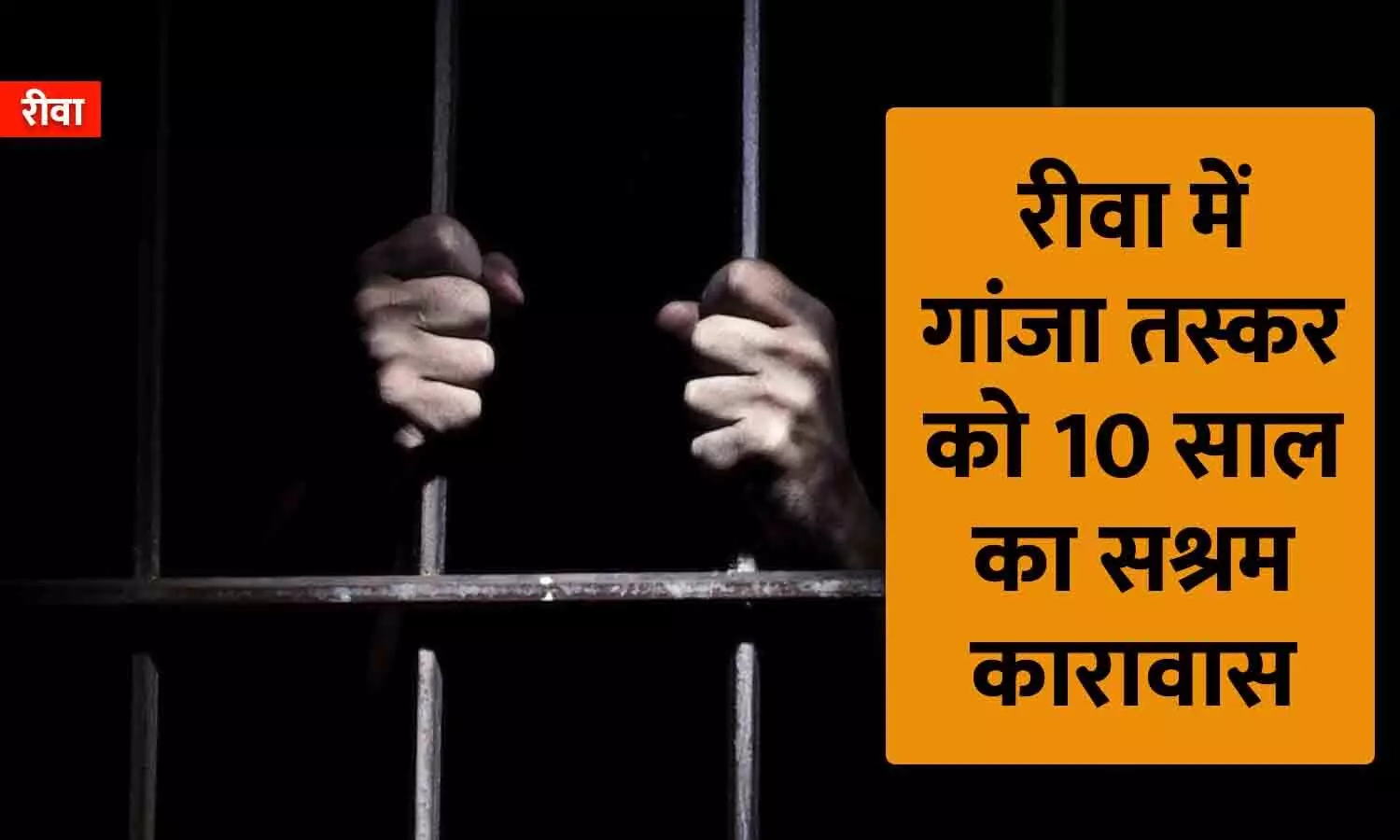 रीवा में गांजा तस्कर को कोर्ट ने सुनाया 10 वर्ष के सश्रम कारावास की सजा, ₹100000 का जुर्माना रीवा में गांजा तस्कर को कोर्ट ने सुनाया 10 वर्ष के सश्रम कारावास की सजा, ₹100000 का जुर्माना