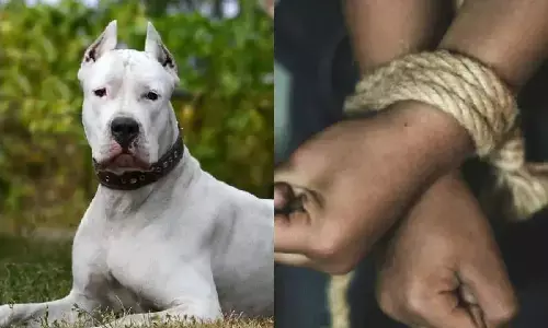 कुत्ता पसंद आया तो उसके मालिक को ही अगवा कर लिया, बोला- कुत्ता देदो आदमी ले जाओ