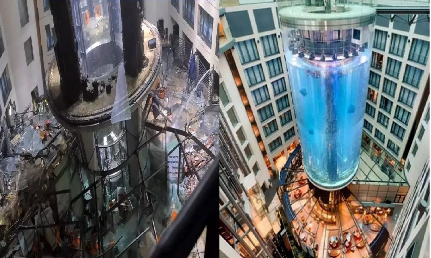 दुनिया का सबसे बड़ा एक्वेरियम फट गया! इतना पानी बहा जैसे सुनामी आ गई, हज़ारों मछलियां मर गईं दुनिया का सबसे बड़ा एक्वेरियम फट गया! इतना पानी बहा जैसे सुनामी आ गई, हज़ारों मछलियां मर गईं