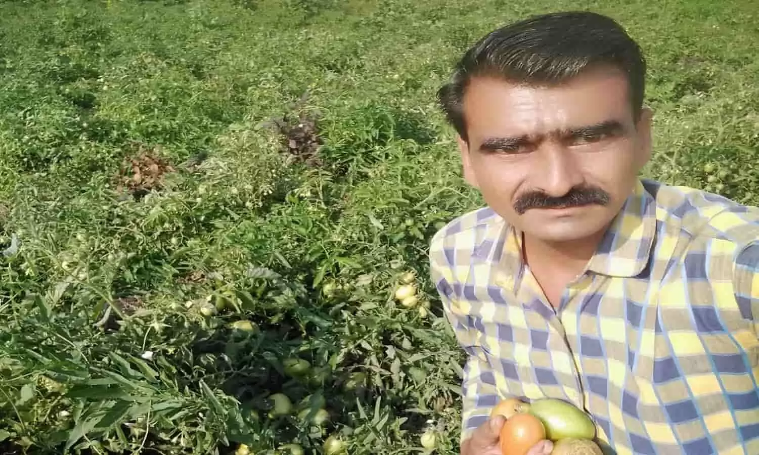 rewa mp news rewa mp news