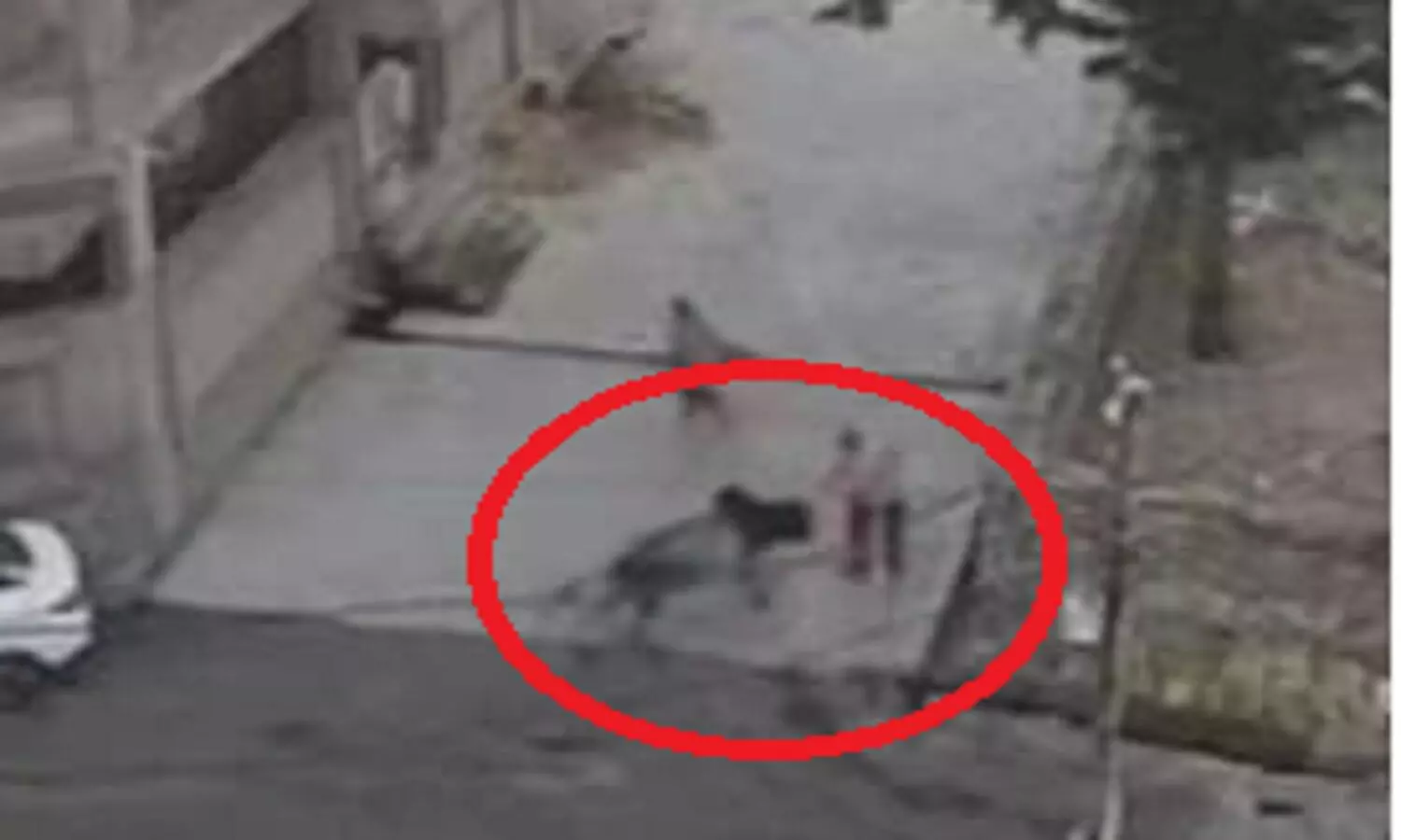 Kota Bull Attack Video: कोटा में सांड के हमले से बुजुर्ग की मौत, सींग चेहरे के आरपार हो गई, आख बाहर निकल आई