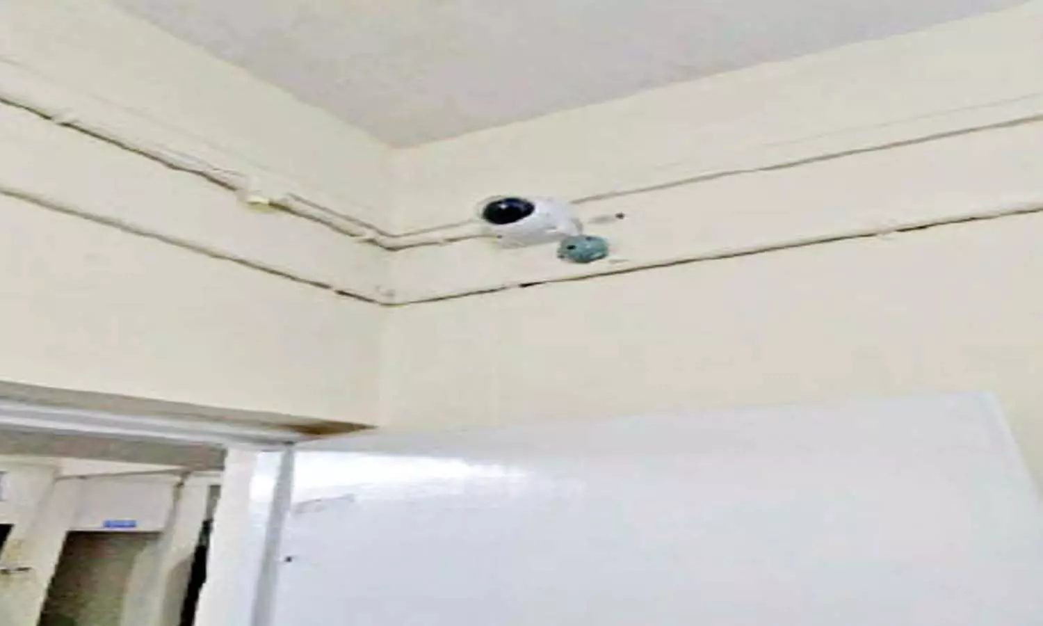 एमपी के भोपाल में मुल्जिम को थाने में पीटा तो उसकी चीख दूर तक सुनाई देगी, जानें कैसे एमपी के भोपाल में मुल्जिम को थाने में पीटा तो उसकी चीख दूर तक सुनाई देगी, जानें कैसे