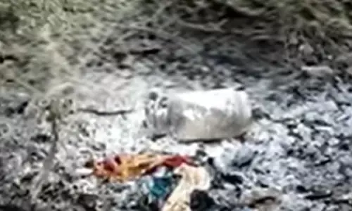 Rewa MP News Rewa MP News