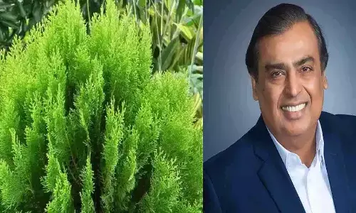 mukesh ambani morpankh