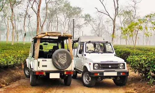 एमपी के नेशनल पार्कों में नहीं चलेंगी जिप्सी, इलेक्ट्रिक एसयूवी की तलाश एमपी के नेशनल पार्कों में नहीं चलेंगी जिप्सी, इलेक्ट्रिक एसयूवी की तलाश