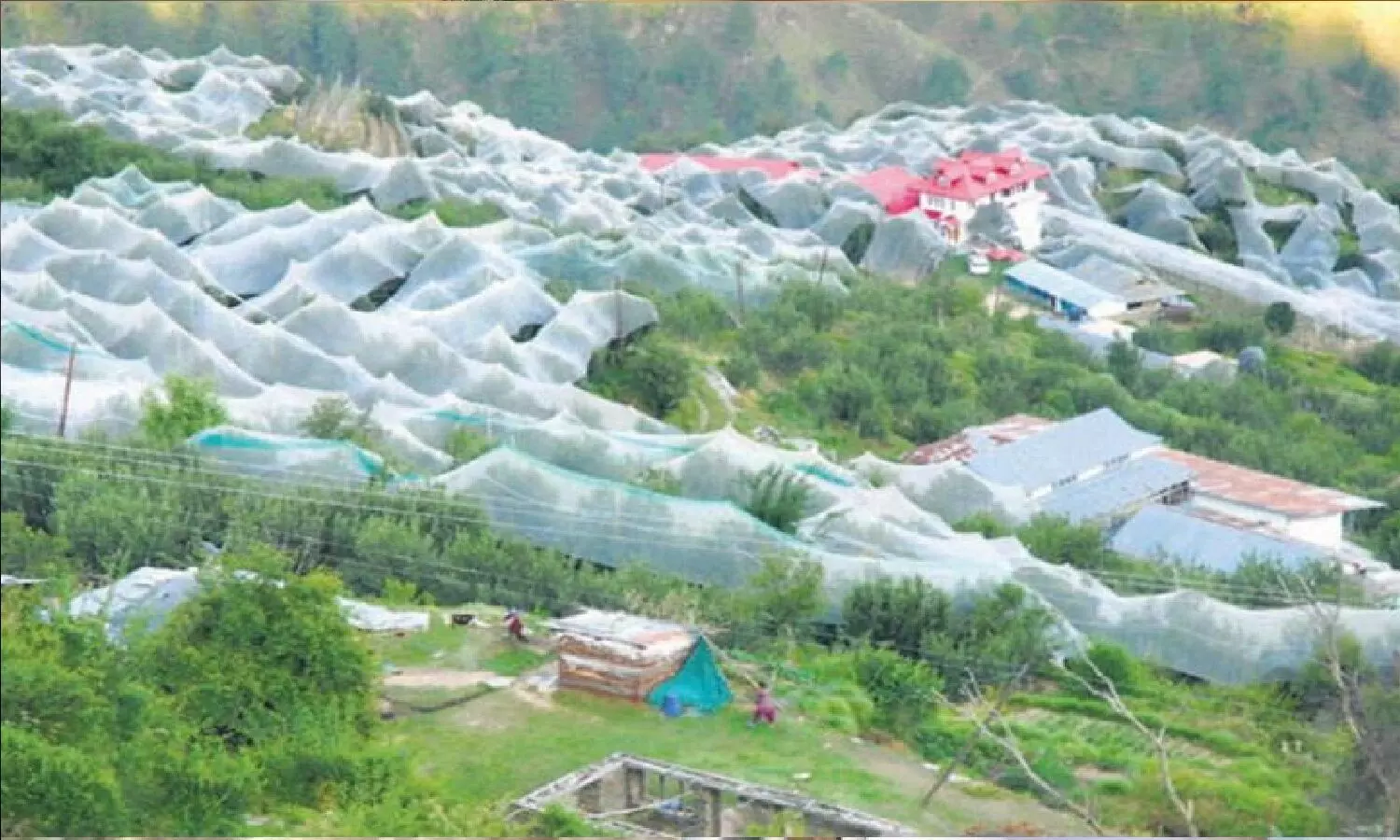 Asias Richest Village: एशिया का सबसे अमीर गांव है हिमाचल का मड़ावग, हर किसान 80 लाख कामता है