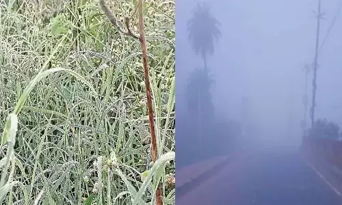 मध्यप्रदेश में बढ़ा फ्रॉस्टब्राइट का खतराः कई इलाकों में 5 डिग्री से नीचे आया न्यूनतम पारा, पचमढ़ी में जम गई बर्फ