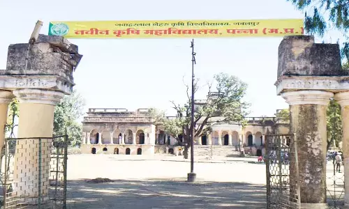 एमपी के पन्ना में 23 जनवरी से प्रारंभ होगा कृषि कॉलेज, 60 सीटों पर मिलेगा प्रवेश