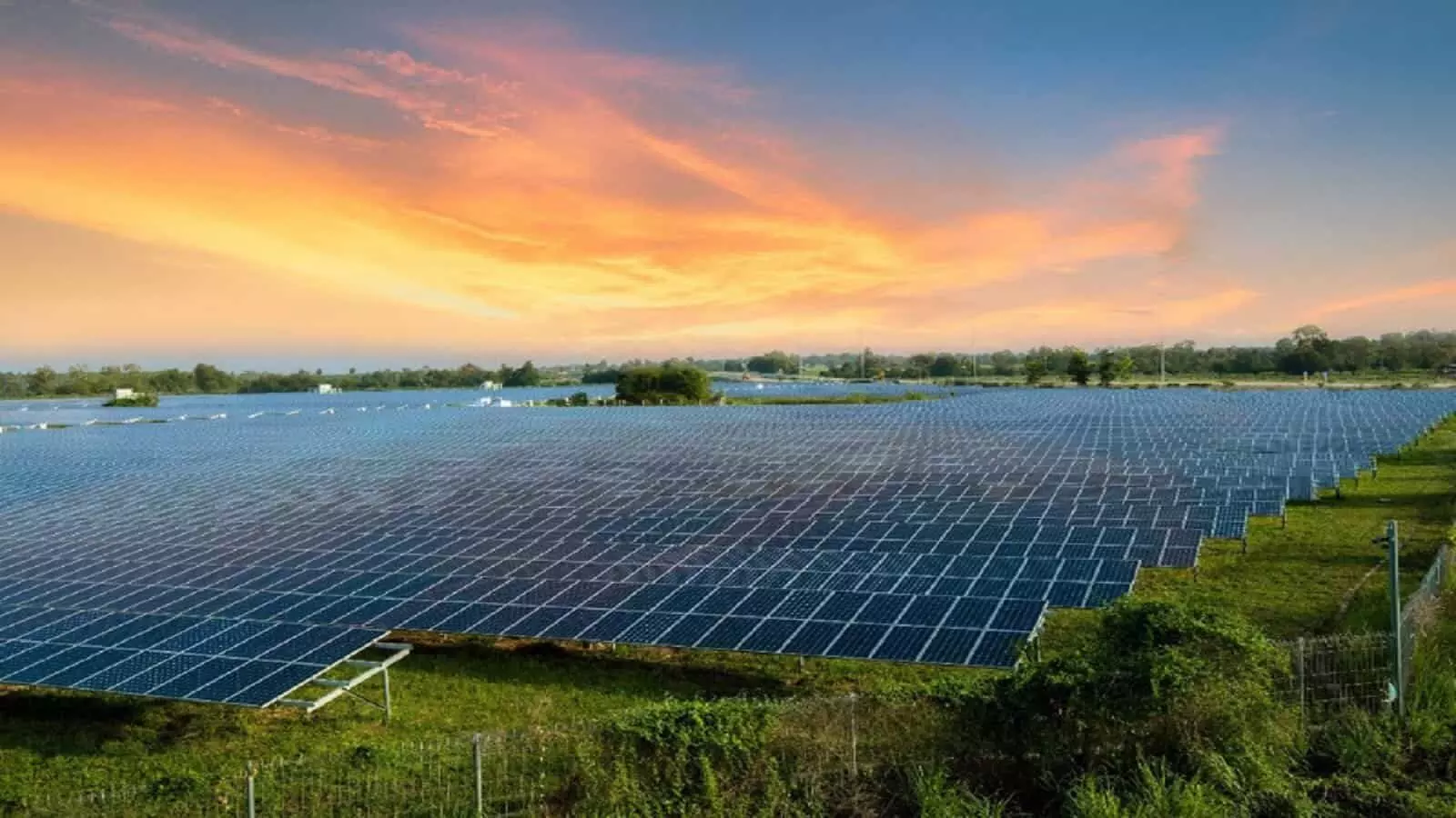 Rewa MP News Rewa MP News