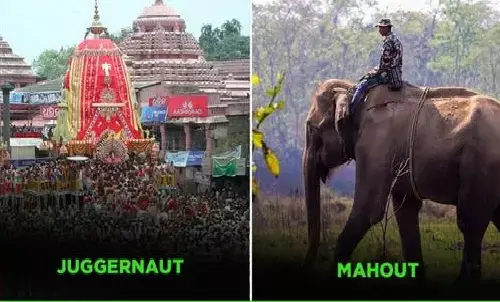 English Words Originated From Hindi: अंग्रेजी में इस्तेमाल होने वाले ये कॉमन वर्ड्स हिंदी से लिए गए हैं English Words Originated From Hindi: अंग्रेजी में इस्तेमाल होने वाले ये कॉमन वर्ड्स हिंदी से लिए गए हैं