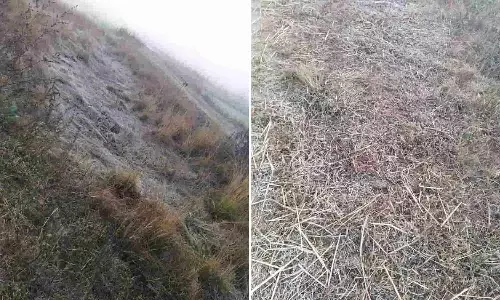 mp weather news mp weather news