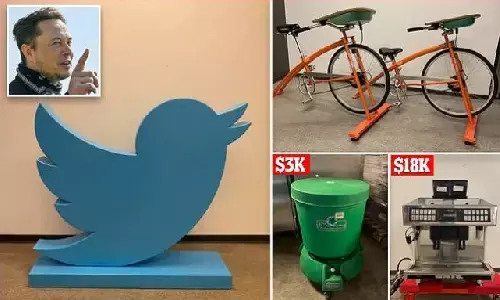 पैसों की कमी से जूझ रहे Elon Musk! अपना TV, सोफा, कुर्सी, ओवन सब नीलाम कर रहे