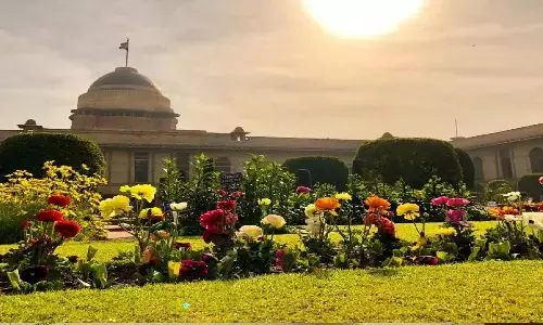 मुगल गार्डन का इतिहास: अब यह अमृत उद्यान कहलाएगा मुगल गार्डन का इतिहास: अब यह अमृत उद्यान कहलाएगा