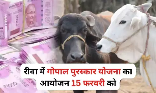 Rewa Gopal Puraskar Yojana News