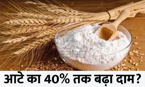 Flour Price In India