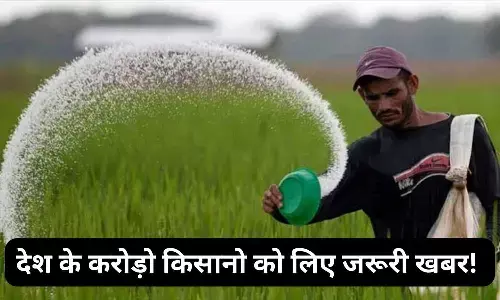 Urea Ban In India News