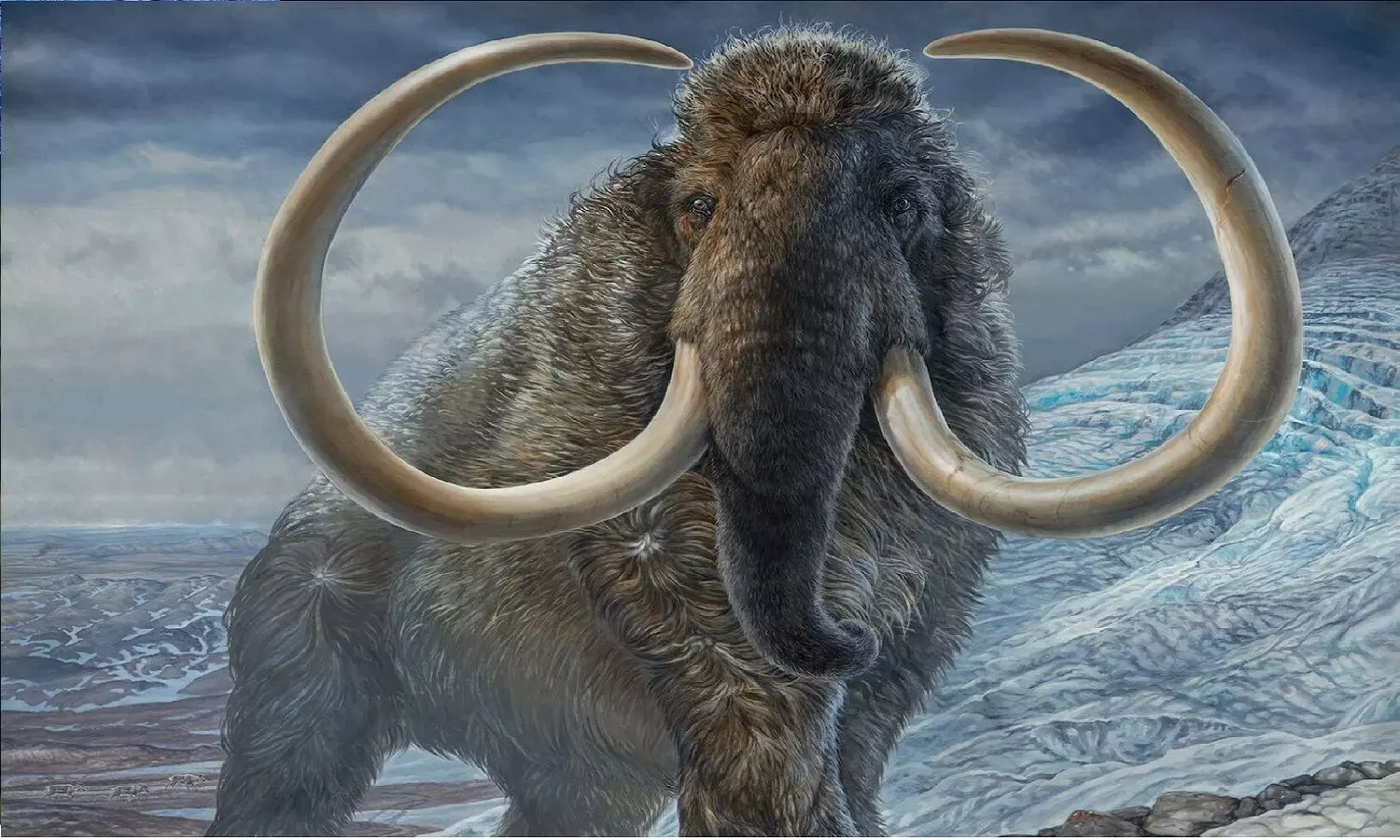 अब से 4 साल बाद वापस लौटेंगे 10 हज़ार साल पहले विलुप्त हो चुके हाथियों के पूर्वज मैमथ