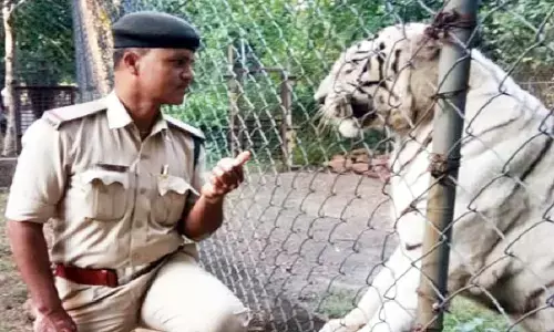 वन्य प्राणी निरीक्षकों की होगी भर्ती, पहली बार महिलाओं को भी दिया जाएगा मौका