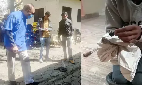 एमपी में ऐसा कोबरा सांप जो ड्राॅप से पी रहा दवा, क्या है पूरा मामला जान लें एमपी में ऐसा कोबरा सांप जो ड्राॅप से पी रहा दवा, क्या है पूरा मामला जान लें
