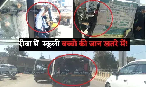 rewa mp news rewa mp news