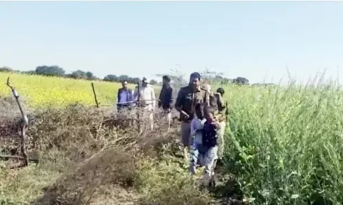 करंट की चपेट में आने से सात नीलगायों की हुई मौत, खेत के चारों ओर बिछा रखे थे तार