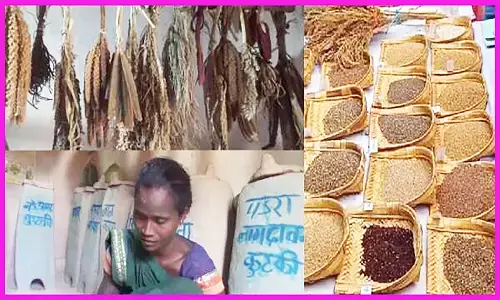 लहरी बाई की पीएम मोदी ने की तारीफ, गायब हो रहे मोटे अनाजों का चलाती हैं बीज बैंक