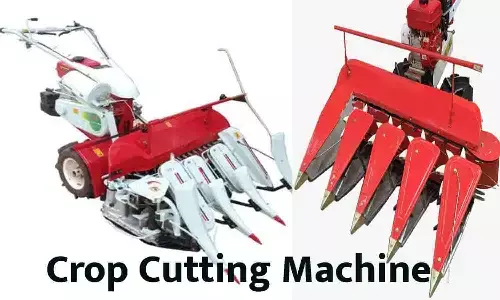 Crop Cutting Machine