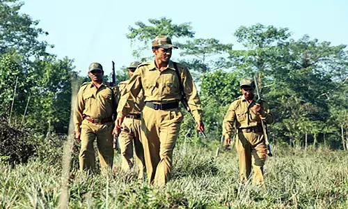 MP Forest Guard Exam Date 2023 जारी, फटाफट से जानें सभी जानकारिया