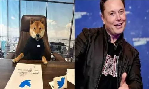 Elon Musk ने अपने पालतू कुत्ते को बना दिया Twitter CEO! कहा- दूसरों से ज़्यादा बेहतर और ईमानदार है Elon Musk ने अपने पालतू कुत्ते को बना दिया Twitter CEO! कहा- दूसरों से ज़्यादा बेहतर और ईमानदार है