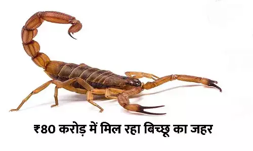 Scorpion poison Scorpion poison