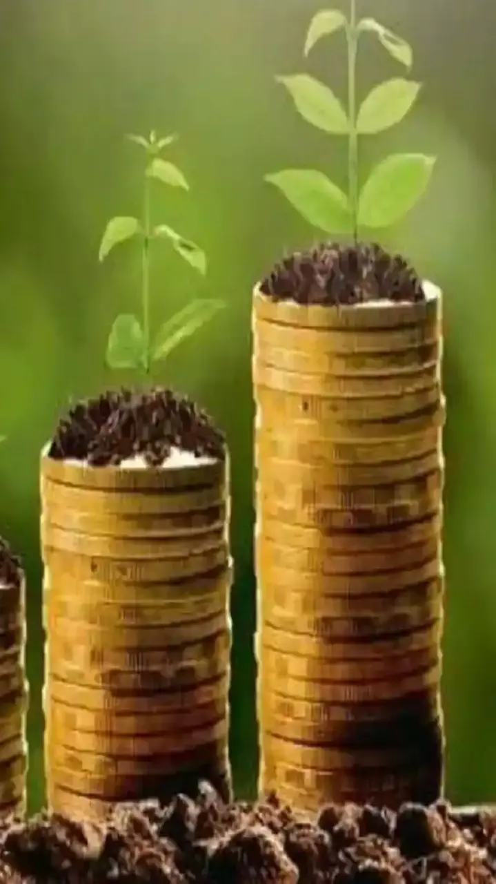 Government Scheme गौरा देवी कन्या धन योजना, जानिए कैसे मिलेगा लाभ