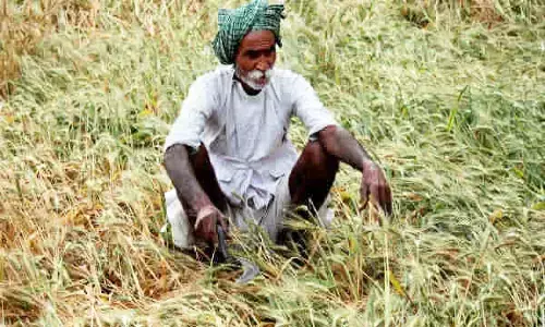 CM शिवराज ने दिया सौगात, एमपी के लाखो किसानो के लिए खुशखबरी! फसल खराब होने पर प्रति हेक्टेयर मुआवजे में ₹5000 की वृद्धि